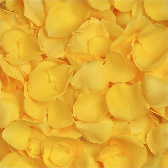 Member's Mark Fresh Rose Petals, 3000 ct., Choose color variety
