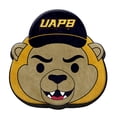thumbnail image 1 of Logo Brands Arkansas-Pine Bluff Golden Lions Puff Pillow, 1 of 5