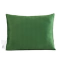 thumbnail image 5 of Kids Licensed 2-Pack Cloud Plush Pillow Set, 20" x 26", 5 of 5