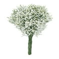 thumbnail image 2 of Member's Mark Pina Colada Limonium 60 stems, 2 of 5