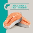 thumbnail image 5 of Member's Mark Grain Free Salmon and Sweet Potato Dry Dog Food, 30 lbs., 5 of 7