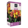 thumbnail image 1 of Member's Mark Canna Blend Dormant Bulbs, 9pk, 1 of 9