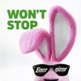 thumbnail image 10 of Energizer Recharge Power Plus AA & AAA, 10 pk., 10 of 11