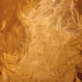 thumbnail image 6 of Chobani Dairy Refrigerated Coffee Creamer, Pumpkin Spice, 52 fl. oz., 6 of 6