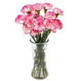 thumbnail image 2 of Member's Mark Carnations, Choose color and stem count, 2 of 6