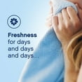 thumbnail image 4 of Downy Liquid Fabric Softener and Conditioner, Cool Cotton (170 fl. oz., 251 loads), 4 of 7