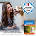 thumbnail image 8 of Nutramax Cosequin Joint Health Supplement for Dogs with Glucosamine, Chondroitin, MSM, Omega-3's and HA, 150 Soft Chews, 8 of 9