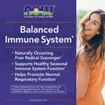 thumbnail image 5 of NOW Supplements Quercetin with Bromelain Capsules, Respiratory Health and Healthy Immune Function* (240 ct.), 5 of 7