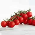 thumbnail image 2 of Flavor Bombs Cherry Tomatoes On The Vine, 1.5 lbs., 2 of 5