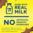 thumbnail image 4 of Nesquik Chocolate Milk, 8 fl. oz., 15 pk., 4 of 9