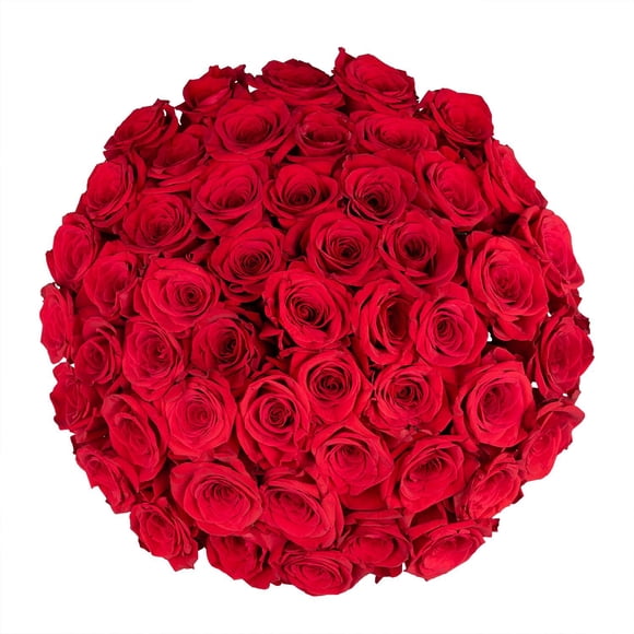 Member's Mark Roses, choose color and stem count
