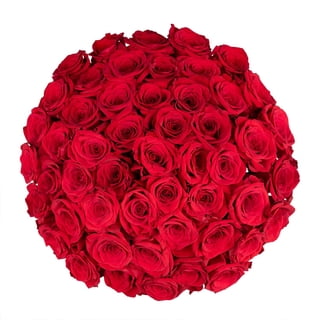 Member's Mark Roses, choose color and stem count
