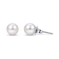 thumbnail image 1 of White Cultured Freshwater Pearl Stud Earrings, 1 of 3