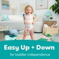 thumbnail image 4 of Pampers Easy Ups Training Pants Underwear, Sizes 2T-6T, 4 of 4
