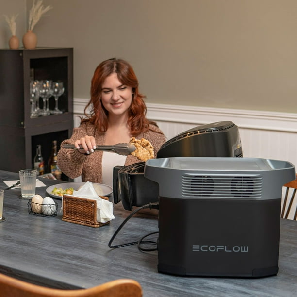 1800-Watt EcoFlow DELTA 2 950 Backup Power Bank + X Boost