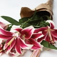 thumbnail image 2 of Member's Mark Super Select Oriental Lily, 5 stems, 2 of 6