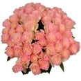 thumbnail image 6 of Member's Mark Illusion Roses, 96 stems, Choose color variety, 6 of 7