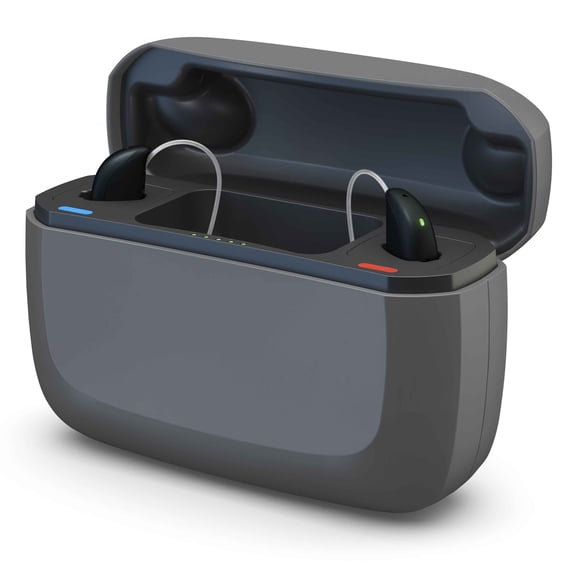 Danavox Premium Charger