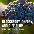 thumbnail image 4 of Woodbridge Merlot Red Wine 1.5 L, 4 of 7