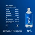 thumbnail image 2 of FOY Springs Naturally Alkaline Bottled Spring Water, 1 L, 12 pk., 2 of 8