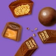 thumbnail image 5 of Hershey Halloween Assorted Flavored Candy, 400 pcs., 5 of 6