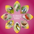 thumbnail image 7 of Audubon Park Sunflower Hearts Wild Bird Food, 15 lb. Bag, 7 of 9