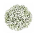 thumbnail image 1 of Member's Mark White Gypsophila, choose stem count, 1 of 6