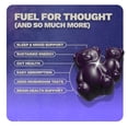 thumbnail image 5 of Nutrops by Gruns Adult Organic Functional Nootropic Mushroom Gummies, 25 ct., 5 of 9