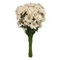 thumbnail image 2 of Member's Mark Painted Poms, 60 Stems, choose color, 2 of 4