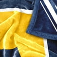 thumbnail image 6 of Logo Brands East Tennessee State Buccaneers 60"x70" Super Plush Blanket, 6 of 6