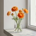 thumbnail image 5 of Ranunculus, 60 stems, choose color, 5 of 5