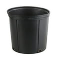 thumbnail image 2 of Costa Farms 12" Ficus Standard Plant in Grower Pot, 2 of 5