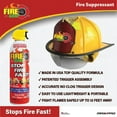 thumbnail image 5 of Fire Gone 16 oz Fire Extinguishing Spray-2 pack, 5 of 7