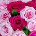 thumbnail image 2 of Member's Mark Forever Pink Mother's Day Rose Vase Arrangement, 30 stems, 2 of 4