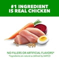 thumbnail image 4 of IAMS Proactive Health Minichunks Chicken Recipe Adult Dry Dog Food, Multi-sizes, 4 of 12