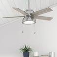 thumbnail image 3 of Hunter 44" Lilliput Ceiling Fan with Light Kit and Pull Chain, 3 of 14