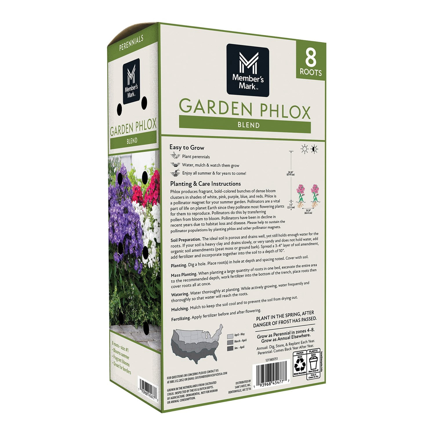 Member's Mark Garden Phlox Blend Dormant Bulbs, 8pk - Samsclub.com