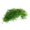 thumbnail image 11 of Member's Mark California Greens Sampler (10 bunches), 11 of 12