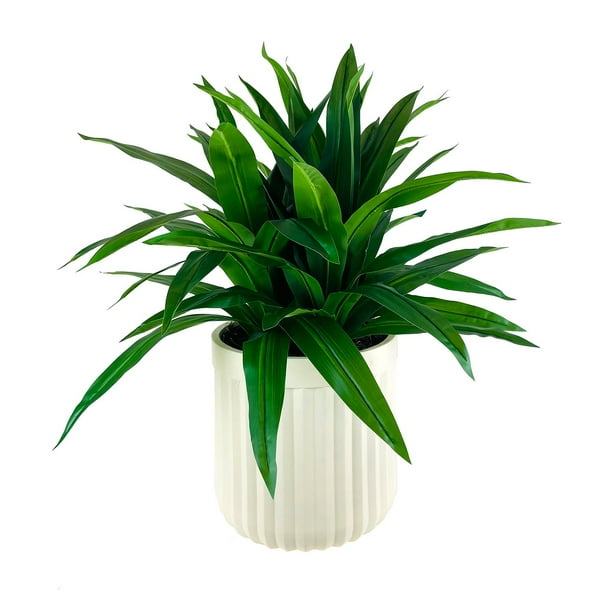 LCG Sales Artificial Premium Dracaena Plant in Fluted Off White Pot 44':- 44'