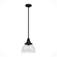 thumbnail image 2 of Hunter Cypress Grove with Clear Holophane Glass 1 Light Pendant Ceiling Light Fixture, 2 of 8