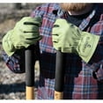 thumbnail image 5 of Plainsman Torque Premium Cabretta Leather Gloves - 2 Pack, 5 of 5
