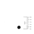 thumbnail image 3 of Round Cut Gemstone & 0.13 CT. T.W. Halo Diamond Stud Earrings in 14K Gold, 3 of 5