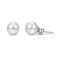 thumbnail image 1 of White Cultured Freshwater Pearl Stud Earrings, 1 of 3