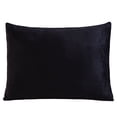thumbnail image 7 of Kids Licensed 2-Pack Cloud Plush Pillow Set, 20" x 26", 7 of 8