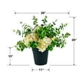 thumbnail image 6 of Artificial 28" Hydrangea and Eucalyptus Mix in Plastic Pot, 6 of 6