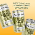 thumbnail image 3 of Fever-Tree Premium Ginger Beer, 150 ml can, 24 pk., 3 of 6