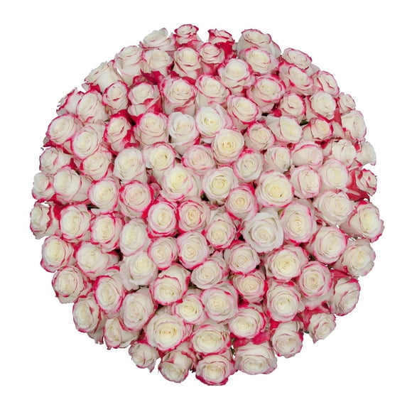 Member's Mark Ecuadorian Premium Roses, choose color variety and stem count