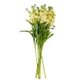 thumbnail image 3 of Member's Mark Stock, 100 stems, choose color, 3 of 7