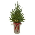 thumbnail image 2 of Member's Mark 48" Pre-Lit Topiary in Woven Basket, 2 of 5