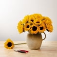 thumbnail image 4 of Member's Mark Sunflowers, choose quantity, 4 of 6